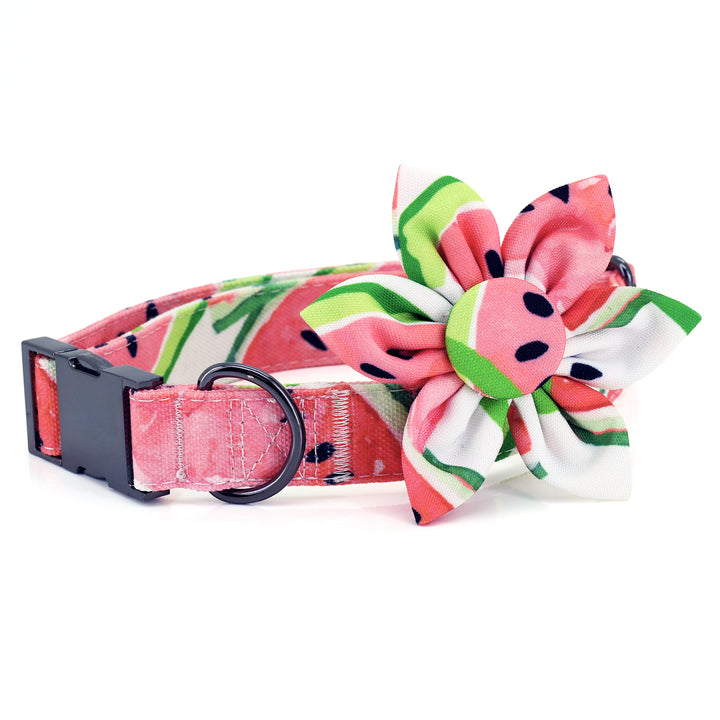 Watermelon Dog Collar with Flower | Ultra Joys Pets