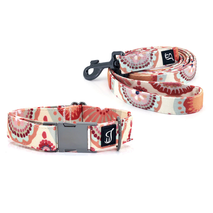 Orange Daisy Collar and Leash Set