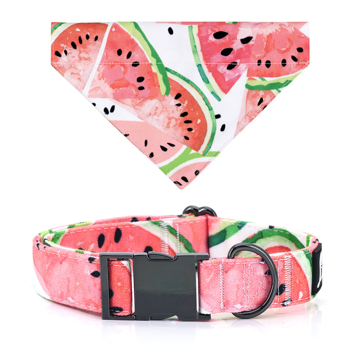 Watermelon Dog Collar Bandana