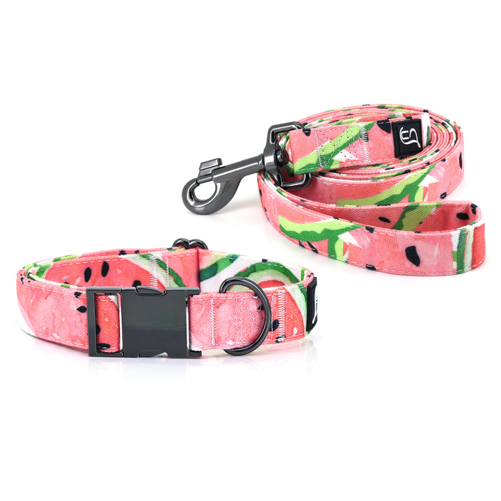 Watermelon Dog Collar and Leash Set