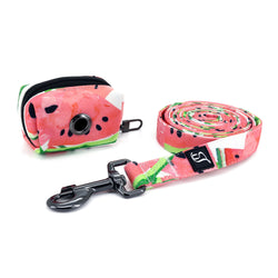 Watermelon Dog Leash and Poop Bag Holder Set